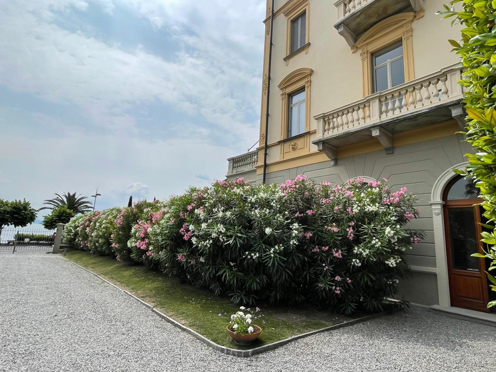 Residenza Victoria Daire Menaggio Dış mekan fotoğraf